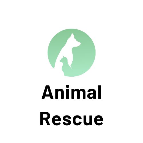 Ash animal hot sale rescue